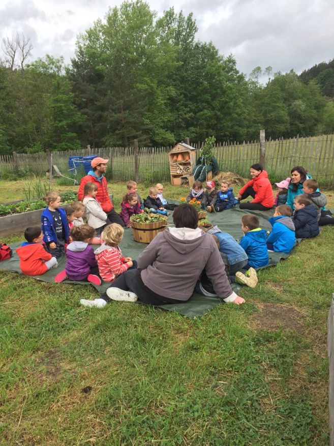 Deuxième journée à l'école de la nature Deuxième journée à l'école de la nature