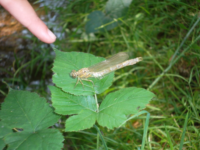 Sortie scolaire Sortie scolaire