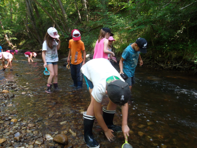 Sortie scolaire Sortie scolaire