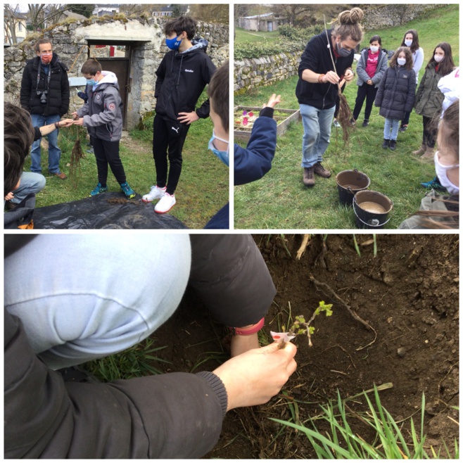 Projet "Allons Plant'Haies" Projet "Allons Plant'Haies"