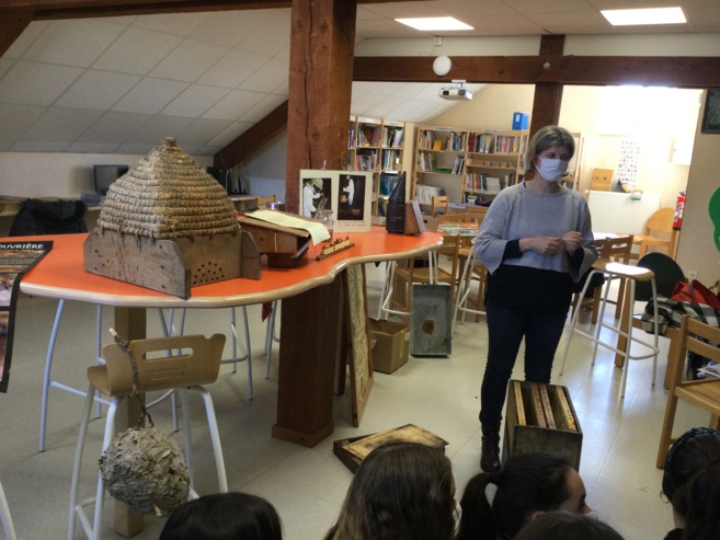 Intervention sur les abeilles Intervention sur les abeilles