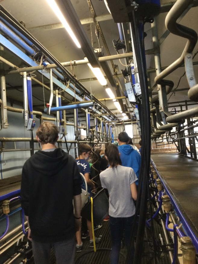 Visite de la ferme du GAEC de Pierregrosse Visite de la ferme du GAEC de Pierregrosse