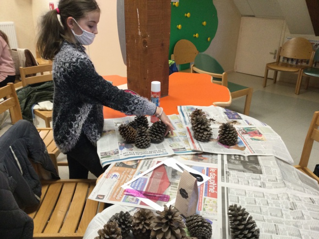 Tisanes du collège Tisanes du collège