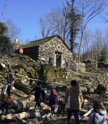 Opération débardage Opération débardage