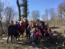 Opération débardage Opération débardage