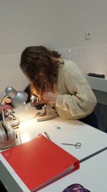 Cours de SVT dans le laboratoire