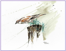 Oeuvre de Franck Rollier Oeuvre de Franck Rollier