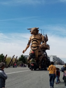 Voyage découverte TOULOUSE