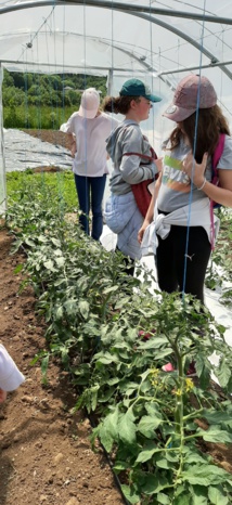Visite aux Jardins de l'Herm Visite aux Jardins de l'Herm