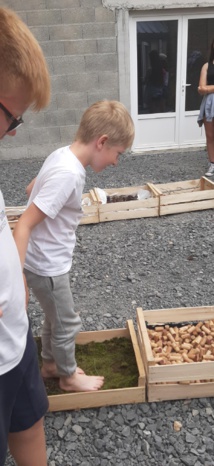 Nature et sensations Nature et sensations