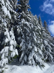 Ski nordique ou ski alpin.... l'embarras du choix