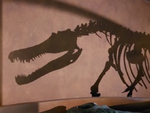 Journée N°3 Toulouse Journée N°3 Toulouse