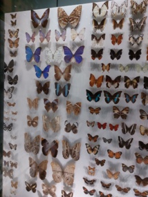 Journée N°3 Toulouse Journée N°3 Toulouse