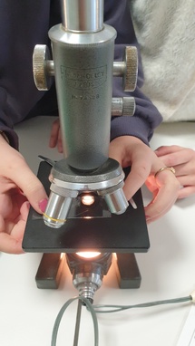 Petit coup d'oeil au microscope Petit coup d'oeil au microscope