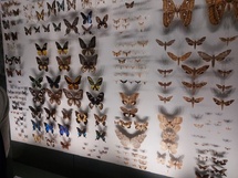 Toulouse 2025 jour 3 Toulouse 2025 jour 3