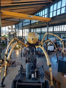 Toulouse Mardi Toulouse Mardi