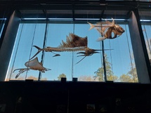 Toulouse Mercredi Toulouse Mercredi