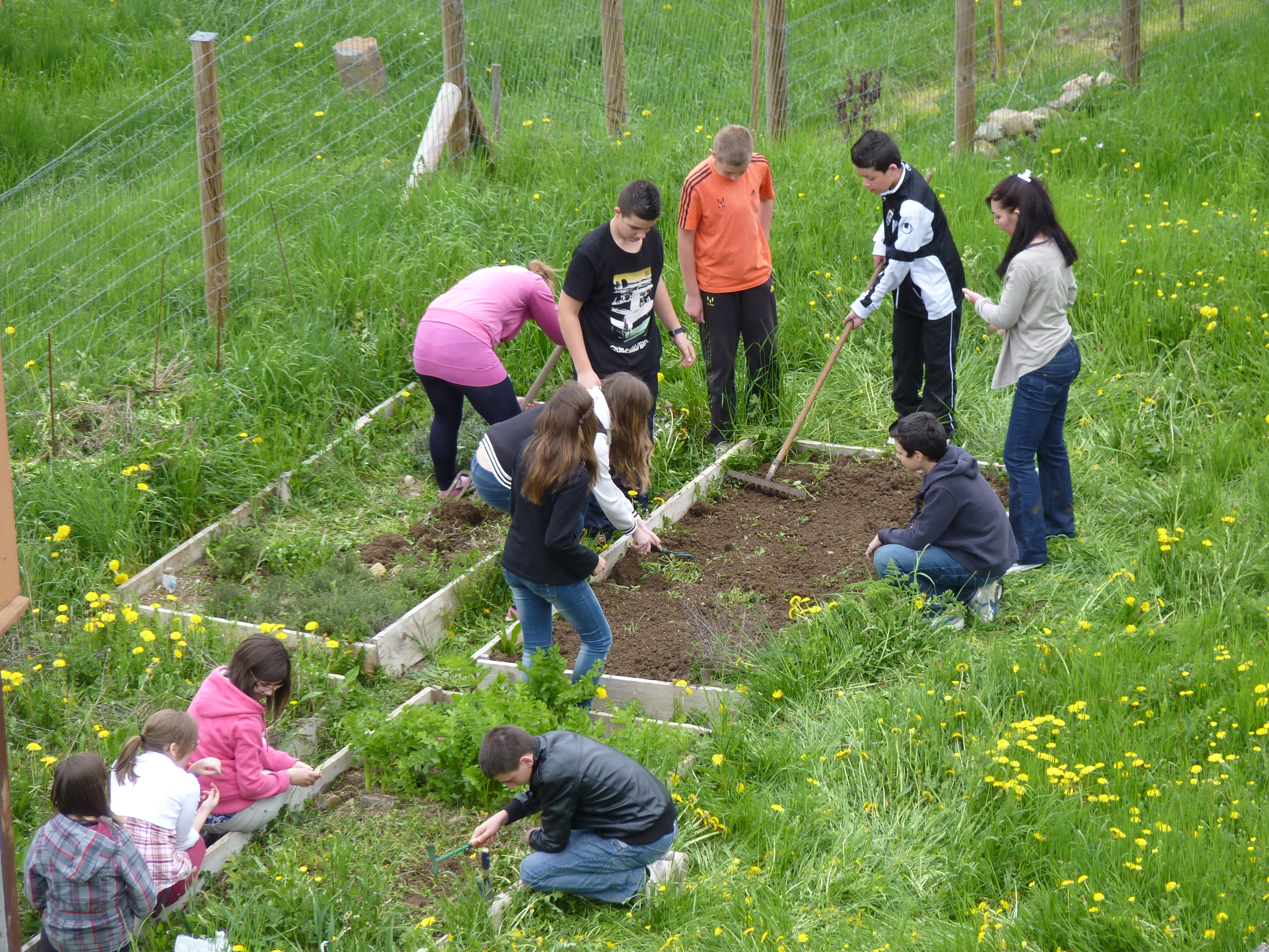 Le jardin médiéval Le jardin médiéval