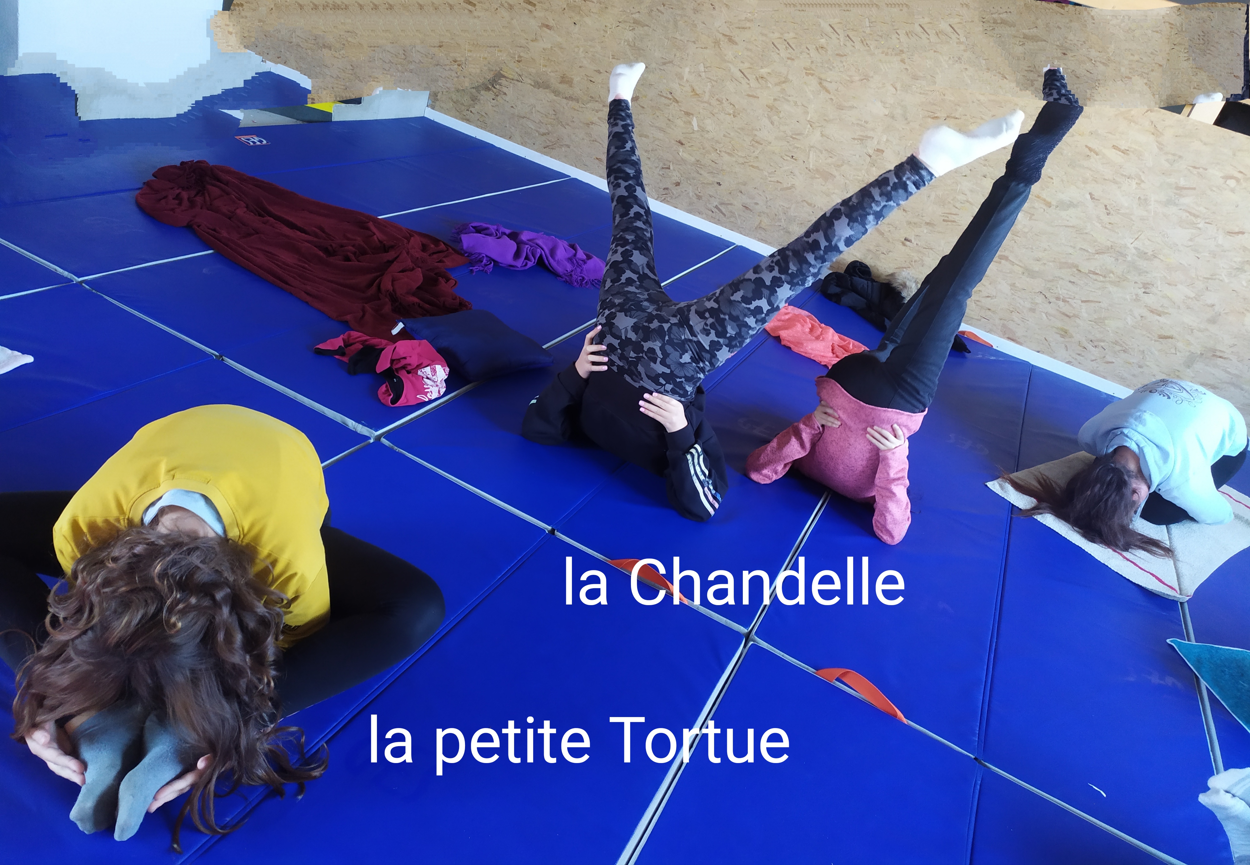 Découverte du Yoga