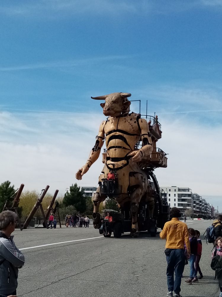 Voyage découverte TOULOUSE