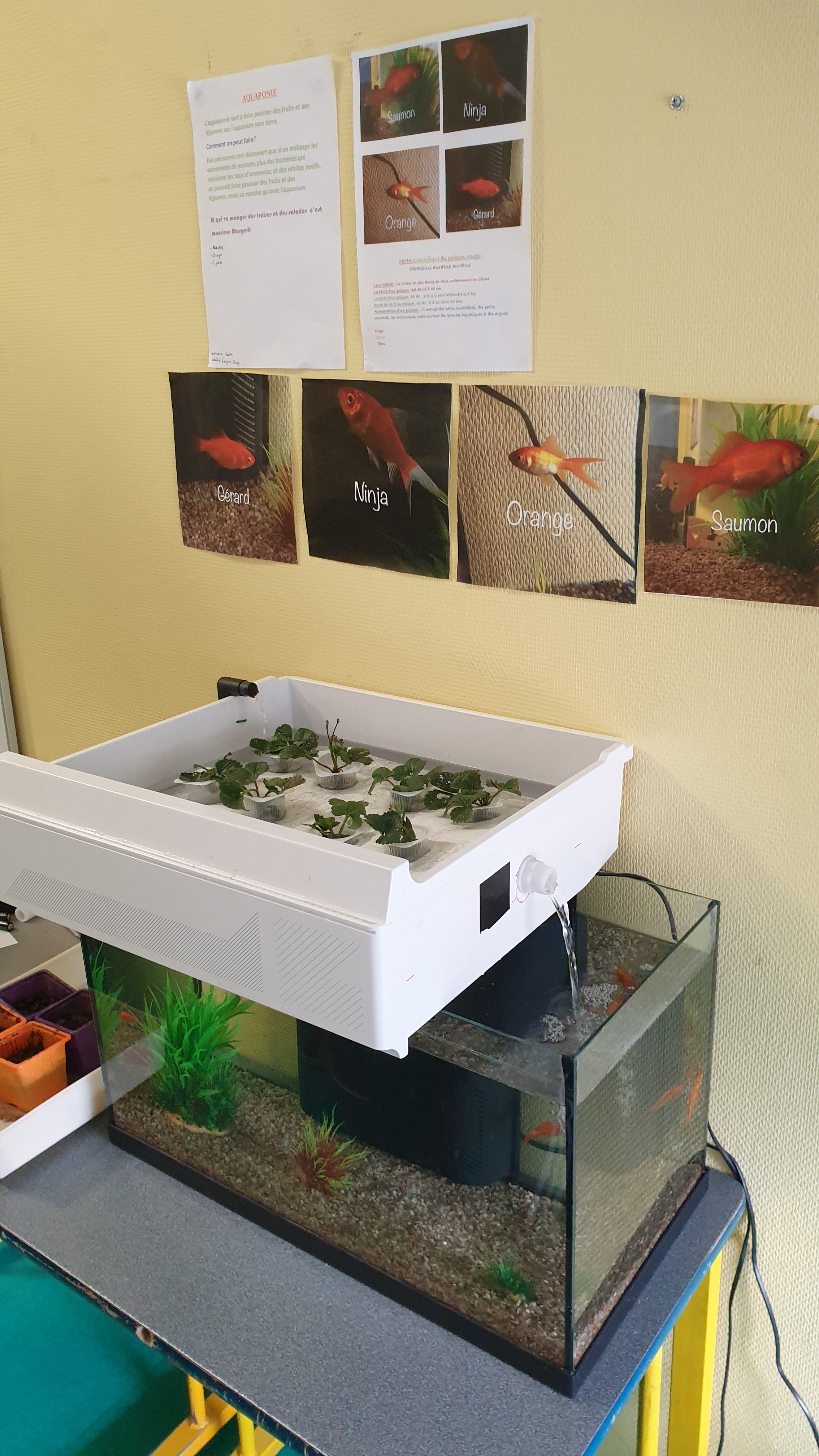 Le club de robotique fait sa rentrée !