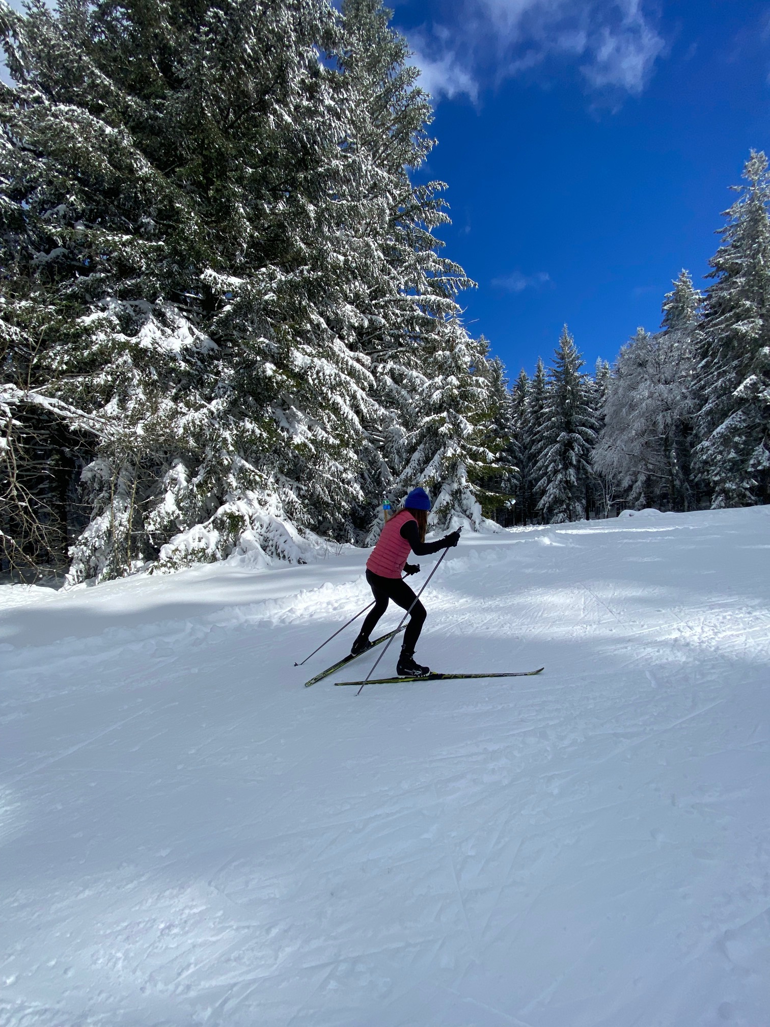 Ski nordique ou ski alpin.... l'embarras du choix