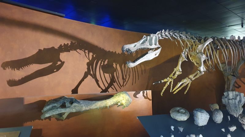 Toulouse 2025 jour 3 Toulouse 2025 jour 3