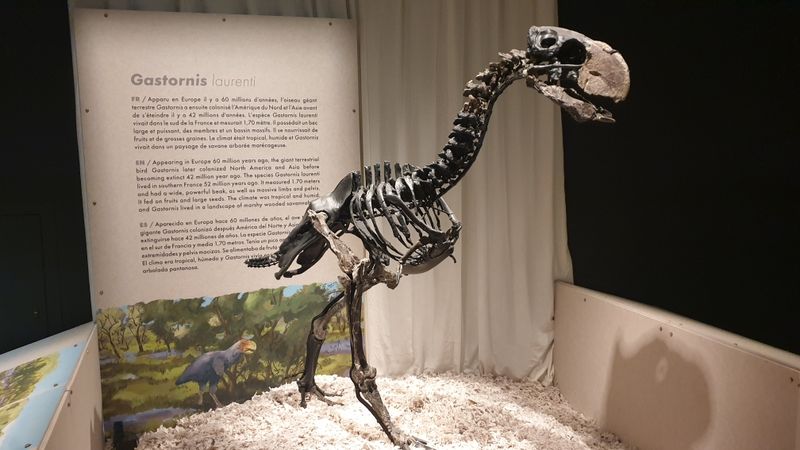 Toulouse 2025 jour 3 Toulouse 2025 jour 3