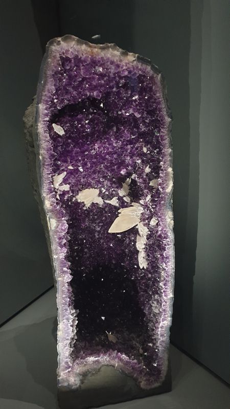 Toulouse 2025 jour 3 Toulouse 2025 jour 3