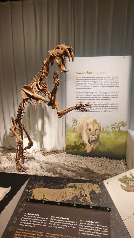 Toulouse 2025 jour 3 Toulouse 2025 jour 3