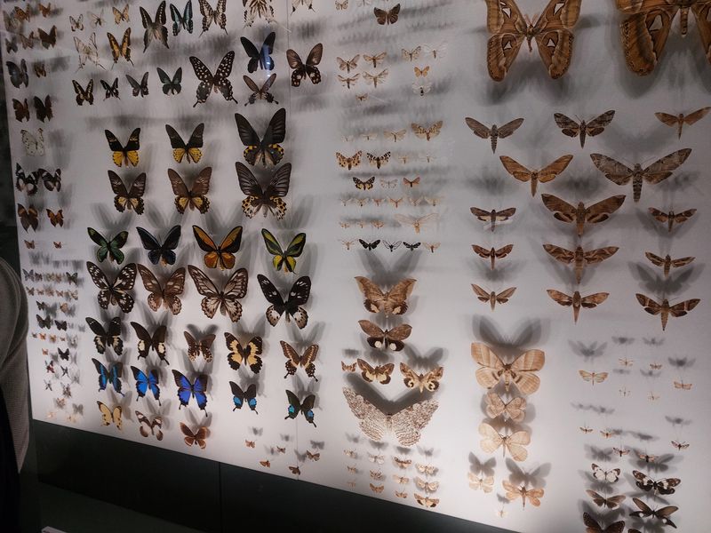 Toulouse 2025 jour 3 Toulouse 2025 jour 3