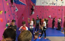 Section escalade