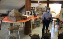 Intervention sur les abeilles