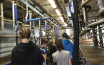 Visite de la ferme du GAEC de Pierregrosse
