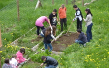 Le jardin médiéval