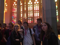 B11B7A54-98E8-4E79-AE99-5E519C061E04 B11B7A54-98E8-4E79-AE99-5E519C061E04