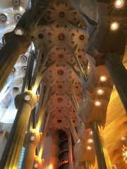 949AC619-AC33-48C3-B01E-5A64C794B834 949AC619-AC33-48C3-B01E-5A64C794B834