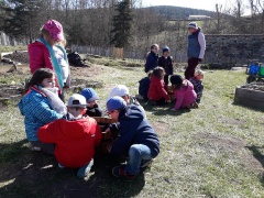 IMG_2604 IMG_2604