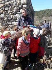 IMG_2605 IMG_2605