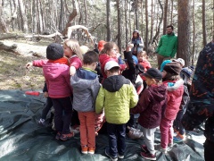 IMG_2607 IMG_2607