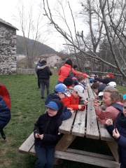 IMG_2610 IMG_2610