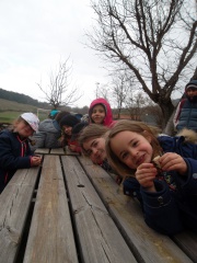 SAM_2903 SAM_2903