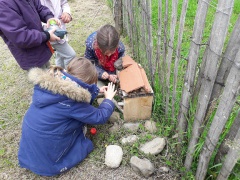 IMG_2876 IMG_2876