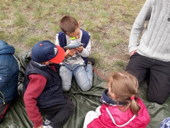 IMG_2878 IMG_2878