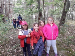 IMG_2884 IMG_2884