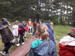 IMG_2885 IMG_2885