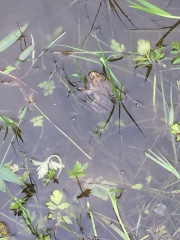 IMG_2868 IMG_2868