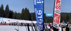 IMG_1547 IMG_1547