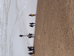 1E36CB68-8278-4FED-B63E-6E1ADD58A7C6 1E36CB68-8278-4FED-B63E-6E1ADD58A7C6