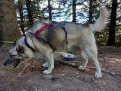 resized_20230929_140614 resized_20230929_140614